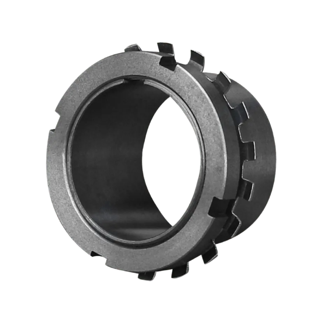 BUCHAS - CAT. ROLLESTE_1