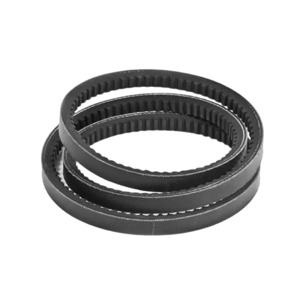 CORREIAS - CAT. ROLLESTE_1