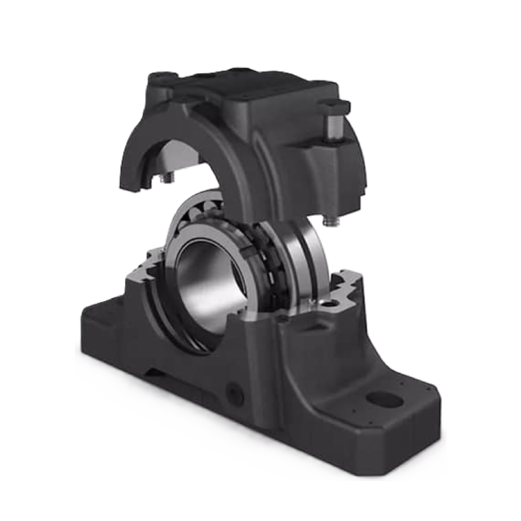 MANCAIS - CAT. ROLLESTE_1